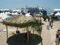Tiki Huts on the Beach