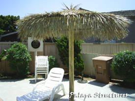 Single Thatched Palm Palapa