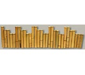Bamboo Edging