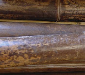 Burnt Bamboo Poles