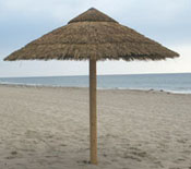 Tapered Reed Palapa on the Beach
