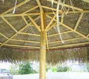 Underside of a Single Pole Palm Palapa