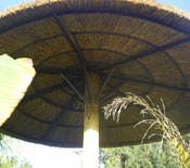 Underside of a Single Pole Reed Palapa