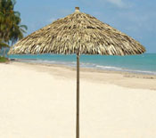 Single Pole Synthetic Palapa