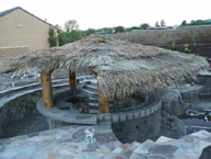 Custom Palm Palapa