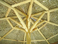 Custom Palm Palapa