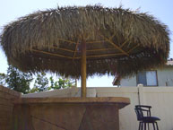 Palm Palapa