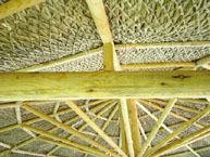 Palm Palapa Tiki Hut