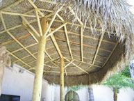 Two Pole Palm Palapa