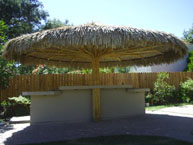 Palm Tiki Hut