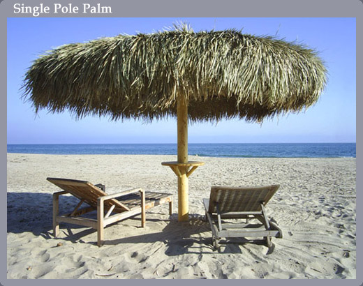 Slide Show Image
