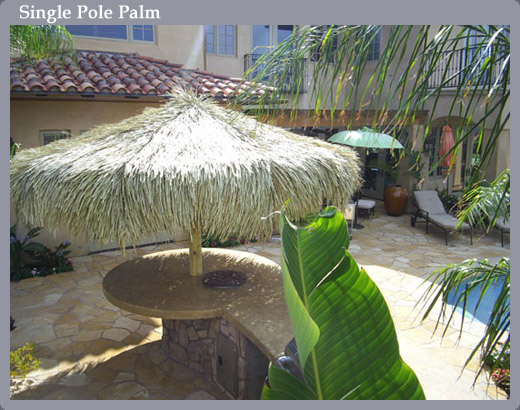 Slide Show Image