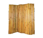 Bamboo Fencing