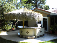 Palm Palapa