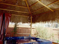 Custom Palm Palapa